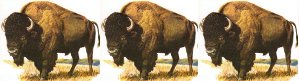 buffalo buffalo buffalo