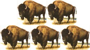 buffalo buffalo buffalo buffalo buffalo